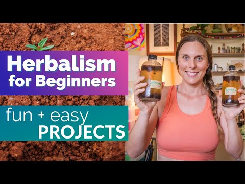 Herbalism for Beginners - Fun and easy projects