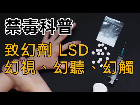 【禁毒科普】第十三集：致幻劑LSD-幻視、幻聽、幻觸