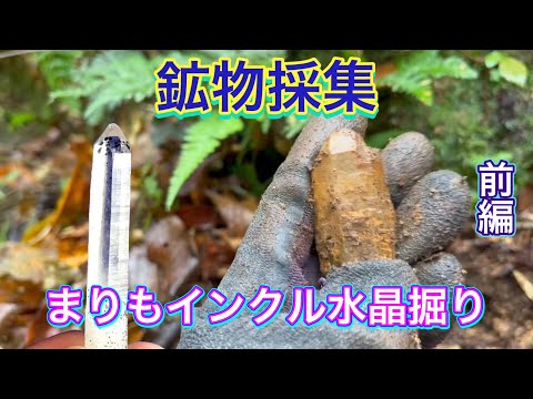 近畿某所で、まりもインクル水晶掘り　前編【鉱物採集】