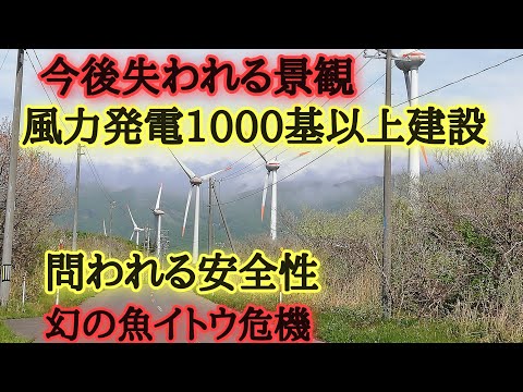 風力発電1000基以上建設！失われる北海道の景観！問われる安全性