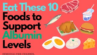 Eat This 10  Foods to Support Albumin Levels