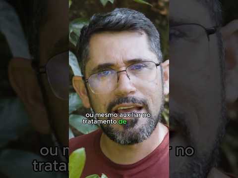 TROQUE ESSE MEDICAMENTO QUÍMICO POR ESSE CHÁ #plantaterapia