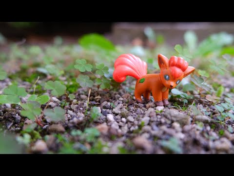 Pokemon Toy #10 | figure  | nature | photograph