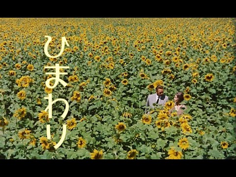 ピアノソロ　ひまわり      イタリア映画　「ひまわり」主題曲