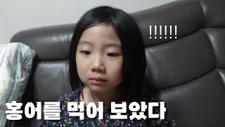 23년 연말이야기 ) 펄쉘 청담 /청기와타운 / 홍어를 처음 먹어본 6살 8살