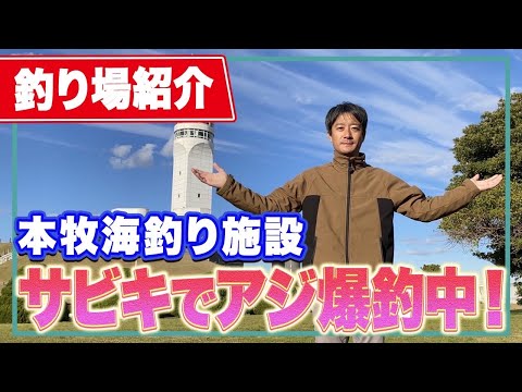 【本牧海釣り施設】12月もアジ爆釣！昼間アジが釣れるサビキのメッカ！泳がせ釣りで青物も狙える