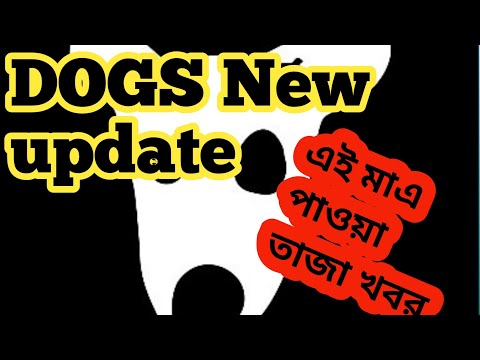 DOGS Good News|| DOGS Airdrop|| DOGS 100% Unlock 🤩 Dogs A to Z New Update ||