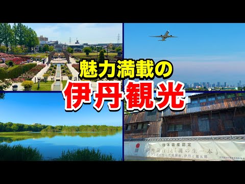 城下町！酒どころ！個性あふれる自然公園&空港が隣接する街 伊丹市を観光散策