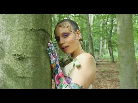 Fauness - Dragonfly (Official Video)