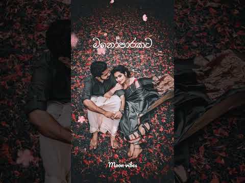 Manoparakata(මනෝපාරකට) Mind Relaxing Sinhala Songs 🌿🌺🌿#shorts #songs #sinhala songs