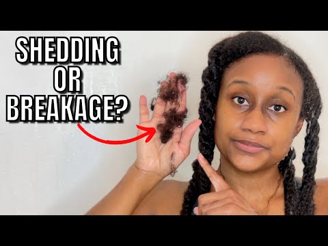 SHEDDING Vs BREAKAGE: How To Tell The Difference | Natural Hair