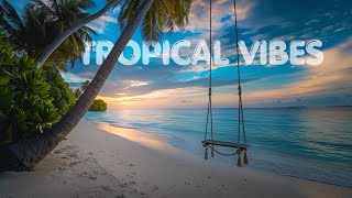 Tropical Caribbean Beach Music Travel Video with Beautiful Views of Beach Travel Destinations