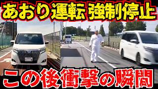 【ドラレコ】あおり運転強制停止！この後衝撃の瞬間/最新日本ドラレコ映像/交通安全/運転の危険予知/交通違反撲滅