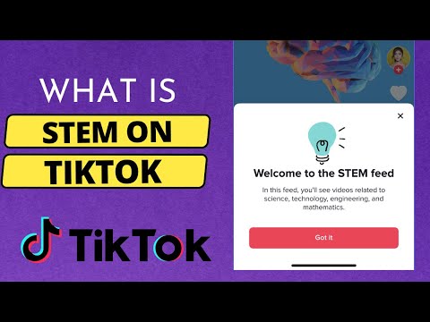 What is the STEM Feature on TikTok?