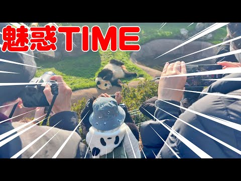 🐼ふわふわ寝顔大集合！癒し効果100%なひととき✨ぐっすり夢見心地な姿にキュン💤