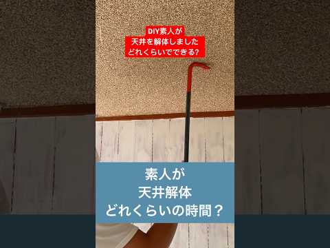 diy素人が天井を解体してみたらどれくらいで出来る？#diy初心者 #解体 #diyprojects