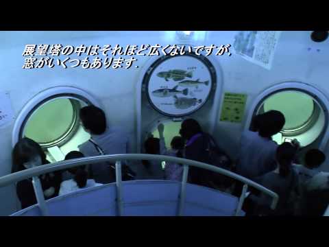 【Kansai Outing Spot】Shirahama Underwater Observation Tower : Coral Princess