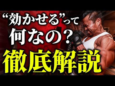 【筋肥大】よく言う“効かせる”とは何なのか？僕なりの解釈をお話しします。