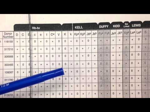 Blood Bank- Antibody Panel Overview