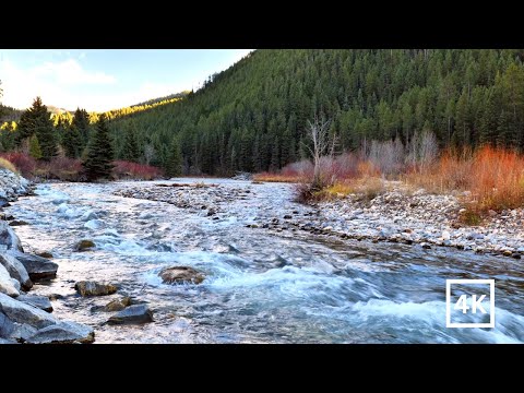 4K Mountain River Rapids | Montana Nature Scene | Forest River Nature Sounds | White Noise