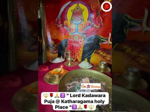 Lord Kadawara Puja #god #lordmurugan