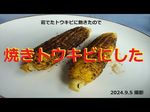 【焼きトウキビ】焼きトウキビを作りました