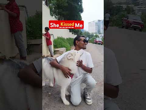 she kissed😘 me female Dogy showing her love with a man 😘