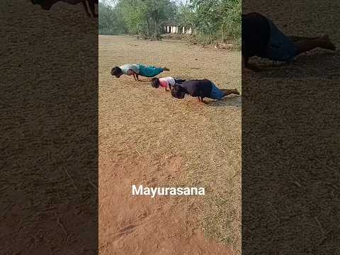 #yoga #mayurasana #kalarippayattu #fitness #actor