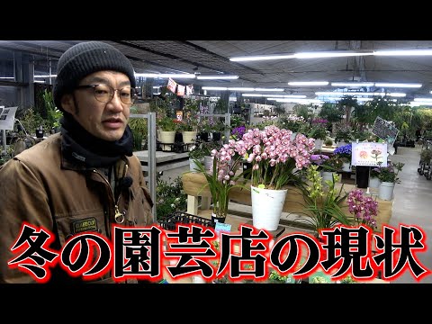 The garden garden is being renovated!? [Carmen-kun] [Horticulture] [Gardening]