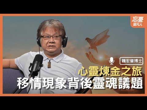 心靈煉金之旅，看見移情現象背後的靈魂議題 feat.魏宏晉博士 ｜ EP.117 忘憂皆凡人Podcast