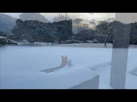 雪は最高の素材