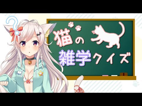 ちくわはねこですから、猫の雑学クイズもよゆ～です！！！！