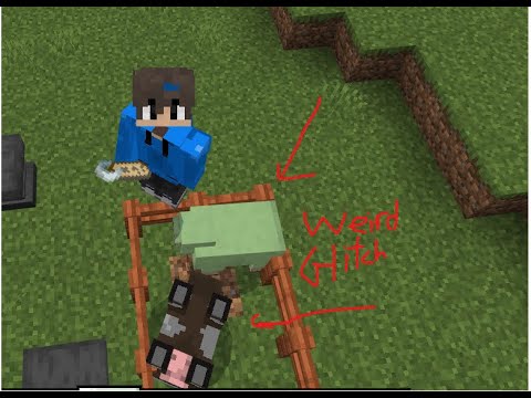 Try this weird glitch in Minecraft!