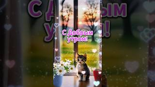 С Добрым утром!#shorts