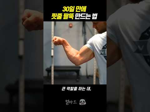 강철 ‘핏줄 팔뚝’ 30일만에 만드는 2가지 운동 방법