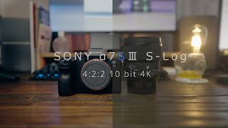 【S-Log】SONY α7S Ⅲ S-log2.S-Log3 Color grading (カラーグレーディング) Test 4:2:2 10bit【SONY α7SⅢ 4K Movie】#104