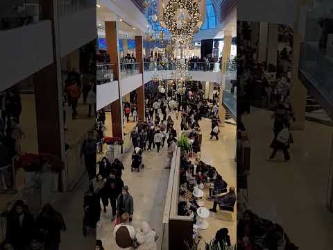 Squre One Mall Missisauga Ontario Canada #boxingday #squareonemall #mall #shortvideo #rothel13