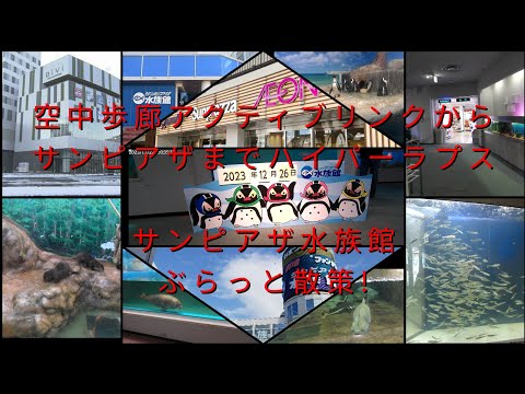 アクティブリンクからサンピアザまでハイパーラプス　サンピアザ水族館ぶらっと散策!