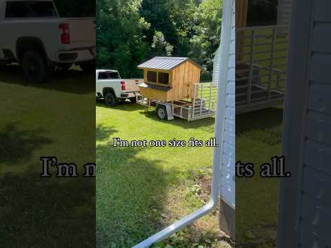 Happy chickens, happy life. #chicken #chickencoop #homestead #chickenlife #babychicks