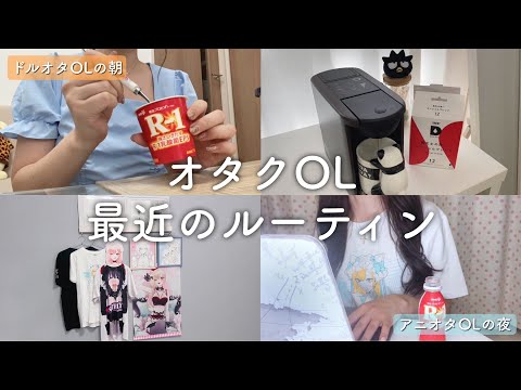 アニオタOL、着せ恋展初日の夜💙ドルオタOL、出勤前🧡【ガチルーティン】【部屋・お気に入り紹介】