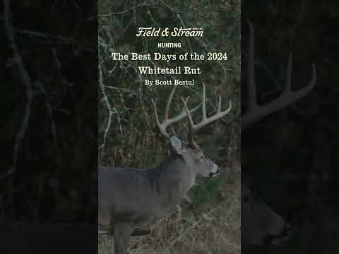 The Best Days of the 2024 Whitetail Rut