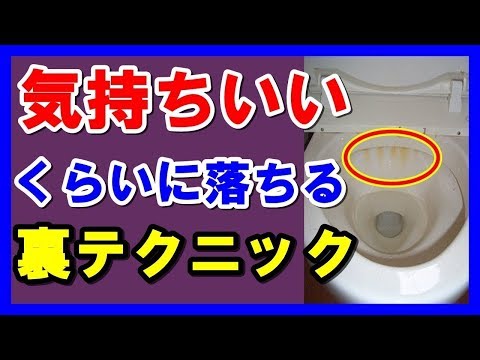 コーヒーフィルターの意外すぎる利用法！その手があったとは！便利な活用術が凄すぎる！知ってよかった雑学【ライフハック・裏技】