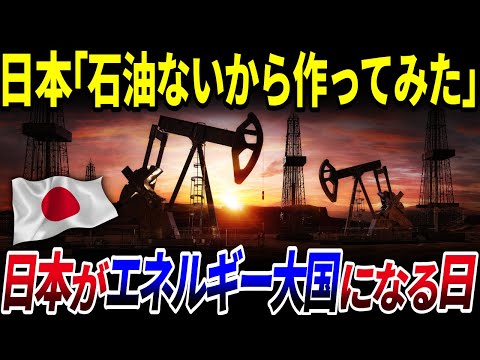 【ゆっくり解説】油ガス田発見⁉石油を作る⁉日本が「エネルギー大国」になる日を解説