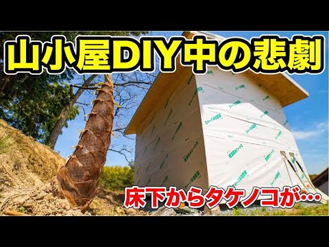 DIYで山小屋作ってたら大変なことになった…