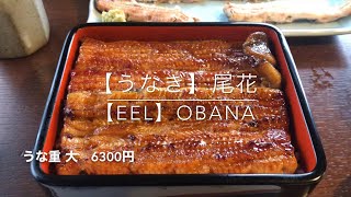 【うなぎ】尾花　宇宙一のうな重と称賛された名店