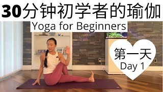 【30分钟初学者的瑜伽课程 Day 1】零基础瑜伽入门系列课程 | Yoga for Beginners Series #1