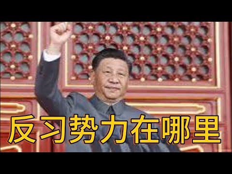 （20241229第395期）三股反习势力虚实｜习近平不信任军队｜国防军到党卫军到习家军｜