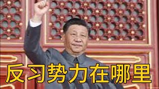 （20241229第395期）三股反习势力虚实｜习近平不信任军队｜国防军到党卫军到习家军｜