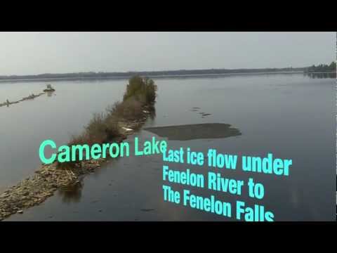 Fenelon Falls:Last Ice on the Fenelon River