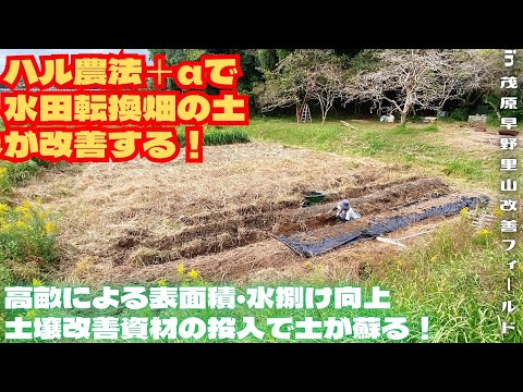 ハル農法＋αで水田転換畑の土が改善する！【里山再生・土壌改善・開拓型農業アクティビティ里山体験受付中】